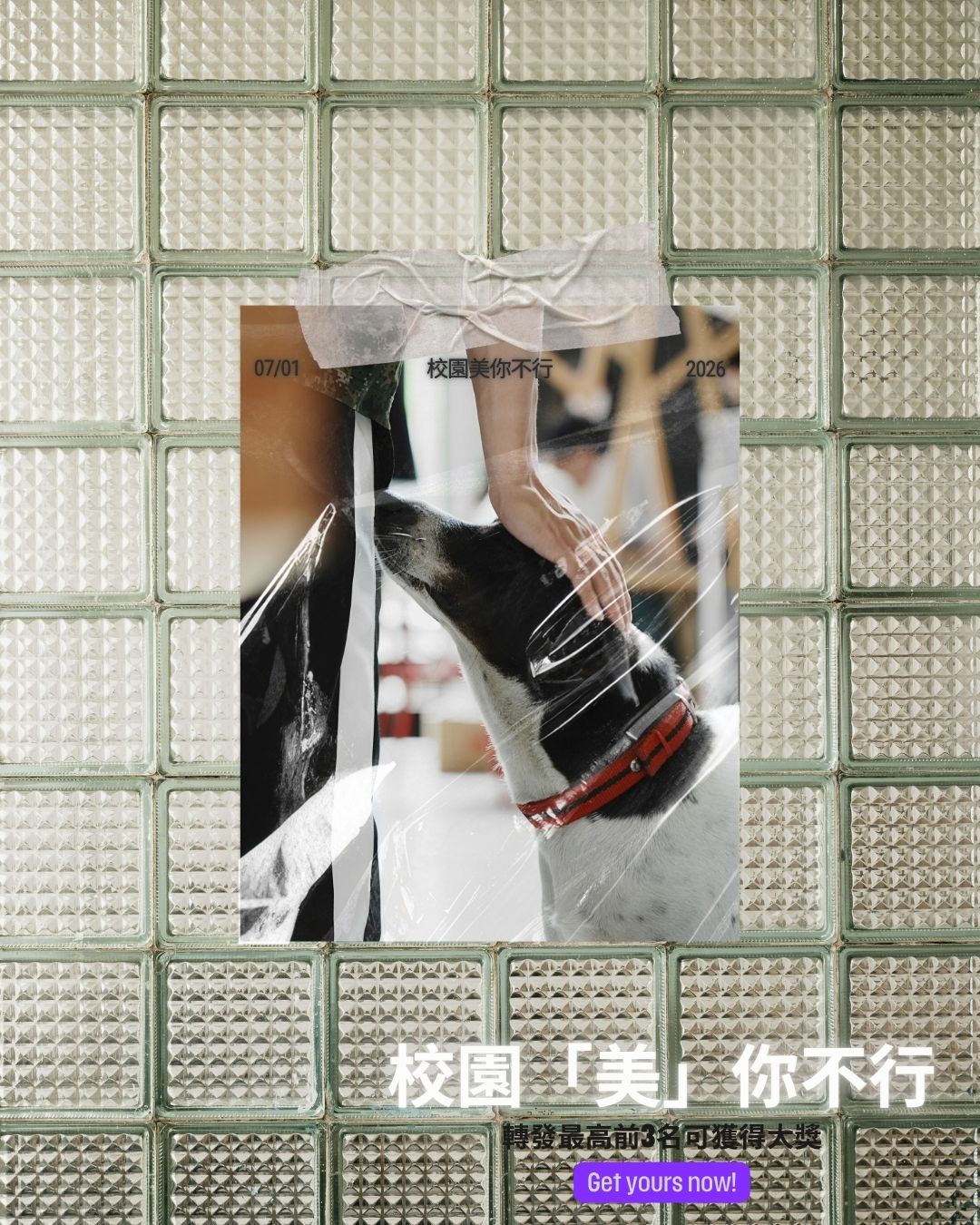 校園美你不行短影音競賽 