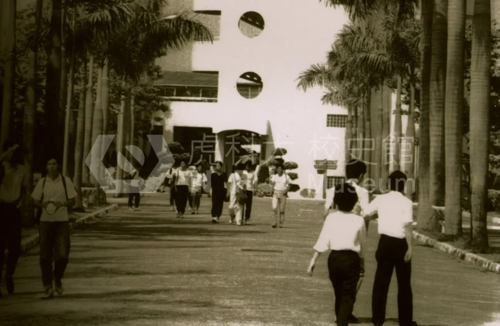 A group of students walking along a road lined with coconut trees。